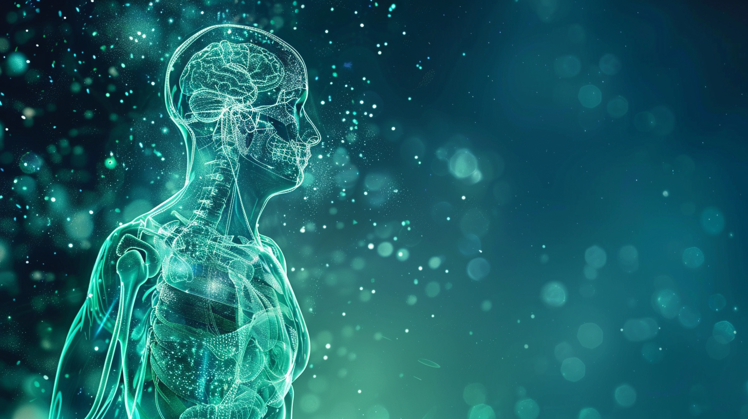 Mécanismes de l'activité physique sur le sommeil